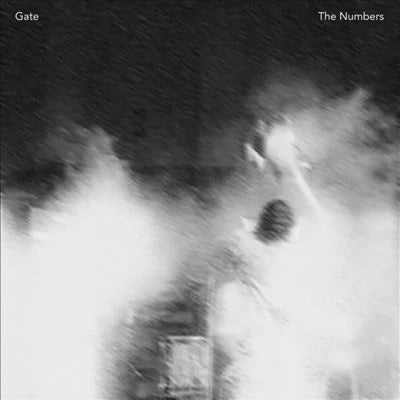 GATE-THE NUMBERS LP *NEW*