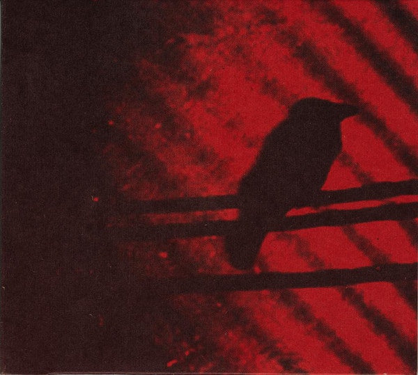 SILVER MT ZION MEMORIAL ORCHESTRA-BORN INTO TROUBLE AS THE SPARKS FLY UPWARDS CD  VG