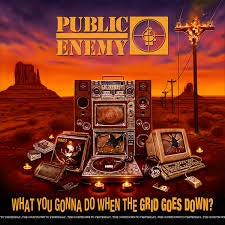 PUBLIC ENEMY-WHAT YOU GONNA DO WHEN THE GRID GOES DOWN? CD *NEW*