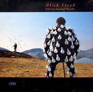 PINK FLOYD-DELICATE SOUND OF THUNDER 2LP VG+ COVER VG+