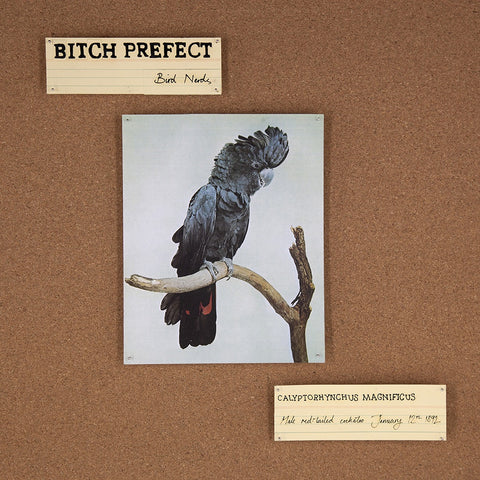 BITCH PERFECT-BIRD NERDS CD VG