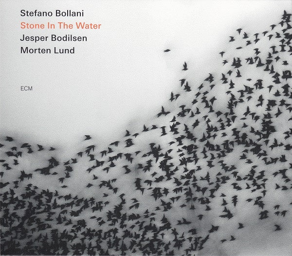 BOLLANI STEFANO, JESPER BODILSEN AND MORTEN LUND-STONE IN THE WATER CD VG