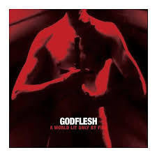 GODFLESH-A WORLD LIT ONLY BY FIRE LP *NEW*