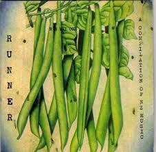 RUNNER A COMPILATION OF NZ MUSIC-VARIOUS ARTISTS CD VG
