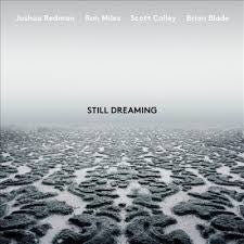 REDMAN JOSHUA-STILL DREAMING LP *NEW*