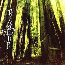 BIGELF-HEX CD *NEW*