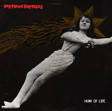 DOG FACED HERMANS-HUM OF LIFE CD G