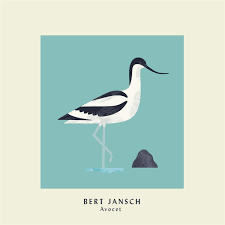 JANSCH BERT-AVOCET CD *NEW*