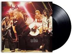 NEW YORK DOLLS-TOO MUCH TOO SOON LP *NEW*