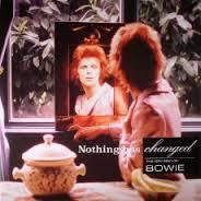 BOWIE DAVID-NOTHING HAS CHANGED 2LP *NEW*