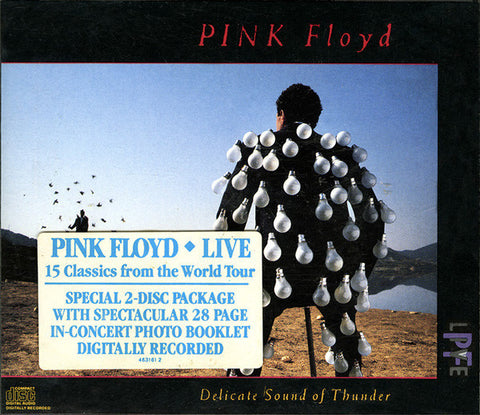 PINK FLOYD-DELICATE SOUND OF THUNDER 2CD VG