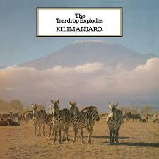 TEARDROP EXPLODES THE-KILIMANJARO LP *NEW*