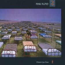 PINK FLOYD-A MOMENTARY LAPSE OF REASON CD VG