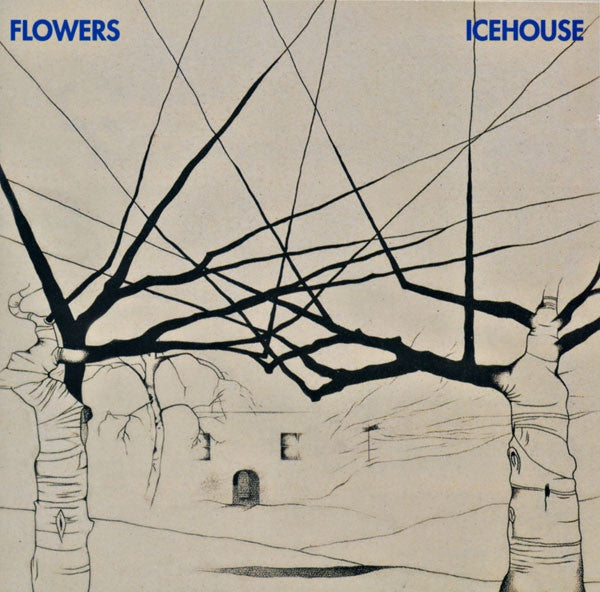 ICEHOUSE-FLOWERS CD VG