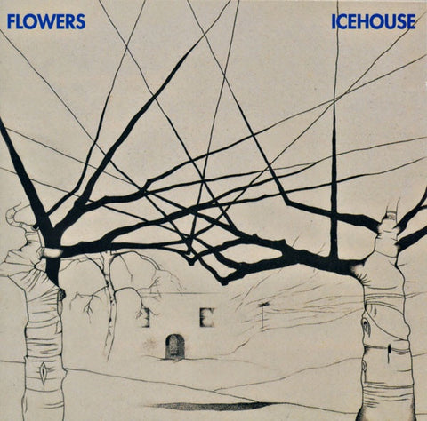 ICEHOUSE-FLOWERS CD VG