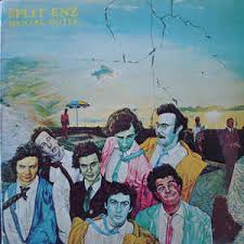 SPLIT ENZ-MENTAL NOTES LP VG+ COVER EX