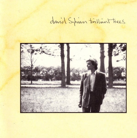 SYLVIAN DAVID-BRILLIANT TREES CD G