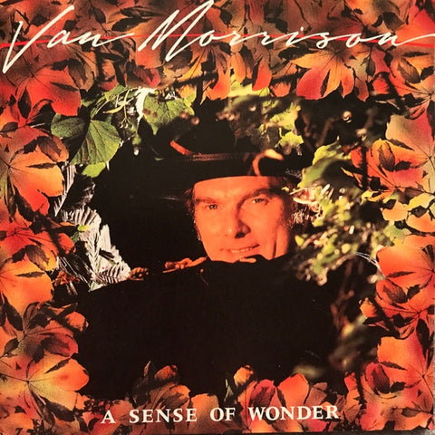 MORRISON VAN-A SENSE OF WONDER CD VG