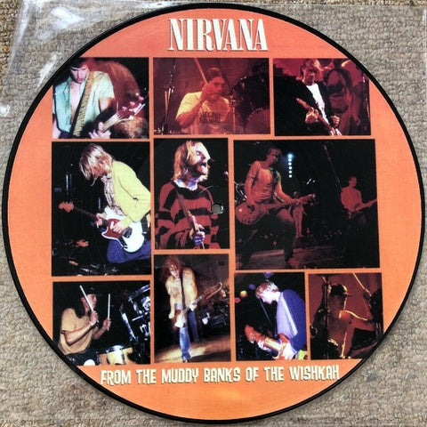 NIRVANA-FROM THE MUDDY BANKS OF THE WISHKAH PICTURE DISC LP NM