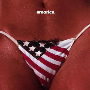 BLACK CROWES THE-AMORICA CD VG