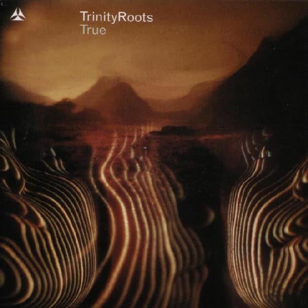 TRINITY ROOTS-TRUE CD VG