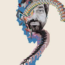 ANIMAL COLLECTIVE-PAINTING WITH LP *NEW* was $54.99 now...