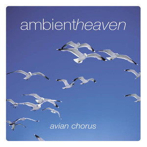 AMBIENT HEAVEN-AVIAN CHORUS CD VGPLUS