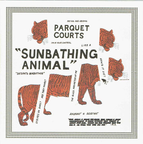 PARQUET COURTS-SUNBATHING ANIMAL CD VG+