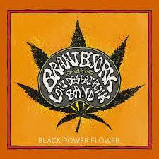 BJORK BRANT-BLACK POWER FLOWER CD *NEW*