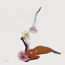 FUTURE ISLANDS-THE FAR FIELD CD *NEW*