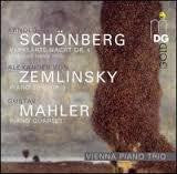SCHONBERG/ ZEMLINSKY/ MAHLER-VIENNA PIANO TRIO CD *NEW*