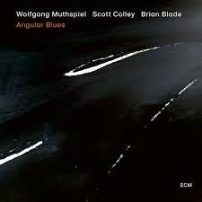 MUTHSPIEL WOLFGANG/ SCOTT COLLEY/ BRIAN BLADE-ANGULAR BLUES CD *NEW*