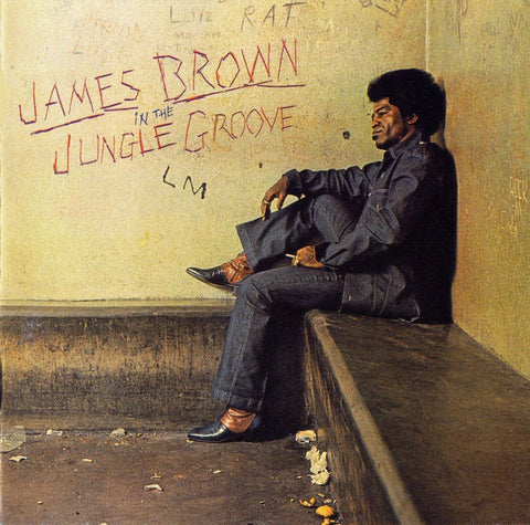 BROWN JAMES-IN THE JUNGLE GROOVE CD VG