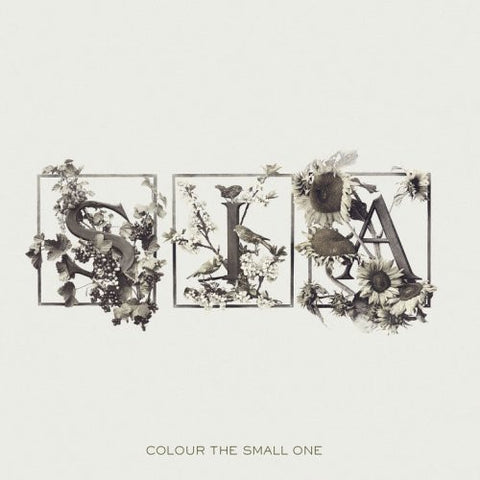 SIA-COLOUR THE SMALL ONE CD VG