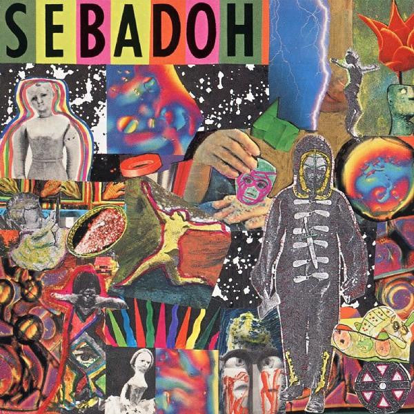 SEBADOH-SMASH YOUR HEAD ON THE PUNK ROCK CD VG