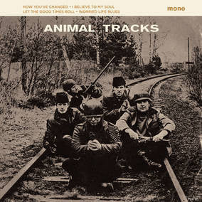 ANIMALS THE-ANIMAL TRACKS 10" EP *NEW*
