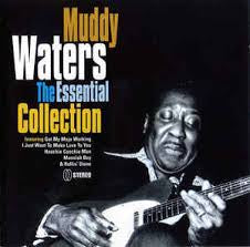 WATERS MUDDY-ESSENTIAL COLLECTION CD VG+