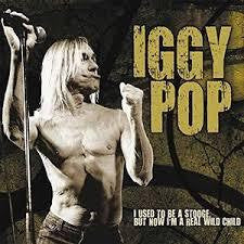 POP IGGY-I USED TO BE A STOOGE 2LP *NEW*