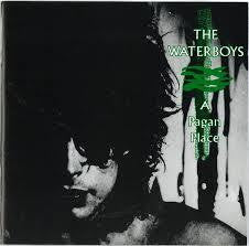 WATERBOYS THE-A PAGAN PLACE CD NM