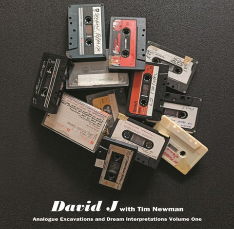 J DAVID WITH TIM NEWMAN-ANALOGUE EXCAVATIONS  & DREAM INTERPRETATIONS VOL. 1 RED VINYL LP *NEW*