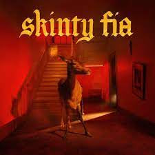 FONTAINES D.C.-SKINTY FIA CD *NEW*