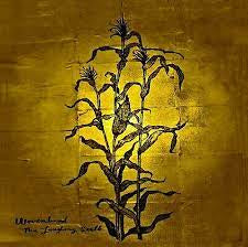 WOVENHAND-LAUGHING STALK CD *NEW*