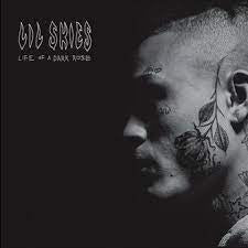 LIL SKIES-LIFE OF A DARK ROSE LP *NEW* was $59.99 now...
