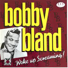 BLAND BOBBY-WOKE UP SCREAMING! LP VG+ COVER VG+