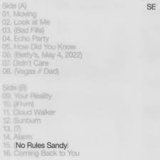 SYLVAN ESSO-NO RULES SANDY LP *NEW*