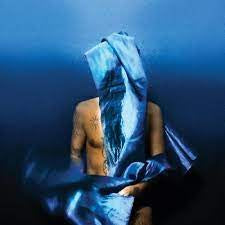 BANHART DEVANDRA-FLYING WIG BLUE VINYL LP *NEW*