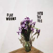 FLAT WORMS-INTO THE IRIS 12" EP VG+ COVER VG+