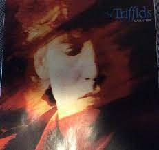 TRIFFIDS THE-CALENTURE 2CD NM