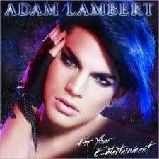 LAMBERT ADAM-FOR YOUR ENTERTAINMENT CD VG