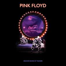 PINK FLOYD-DELICATE SOUND OF THUNDER 2CD *NEW*